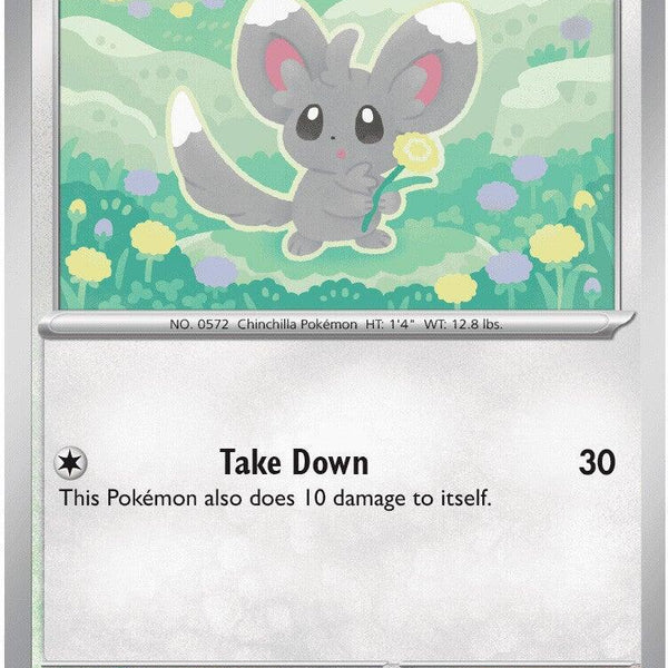 Minccino