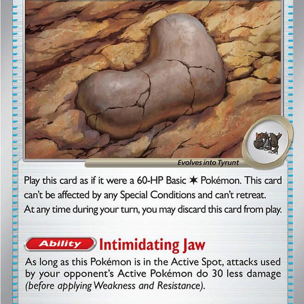 Antique Jaw Fossil