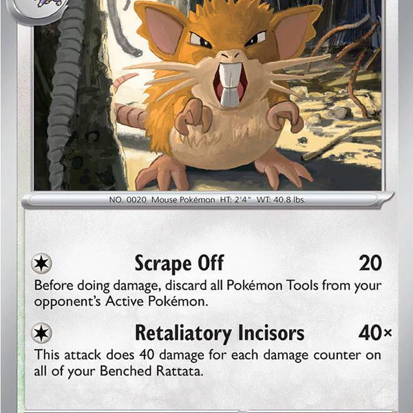 Raticate